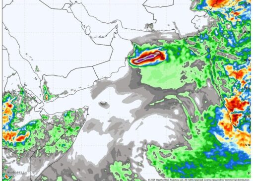 کاهش ۱۰ درجه‌ای دما و سرمازدگی محصولات کشاورزی