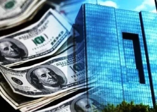 تداوم عرضه اسکناس ارز توسط بانک مرکزی و پاسخ به نیازهای ارزی بازرگانان