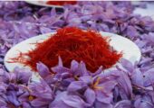 با وجود تولید ۹۰ درصد زعفران جهان، کشاورزان ایرانی از سود واقعی محروم‌اند!