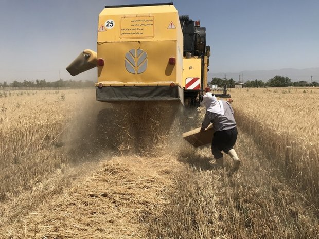 ضایعات ۸ محصول زراعی و باغی تا ۲ ماه آینده اعلام می‌شود