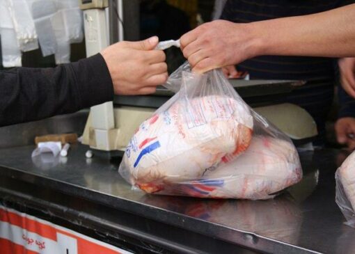 چرا مرغ گران است؟