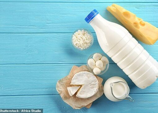 تولیدکنندگان: افزایش قیمت لبنیات از سر ناچاری است، نه سودجویی!