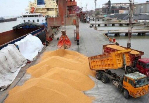 مشکل تأمین سویا در حال رفع است