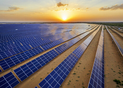 تحولی سبز در دل بیابان