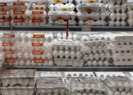 وزیر کشاورزی: تخم‌مرغ گران نیست