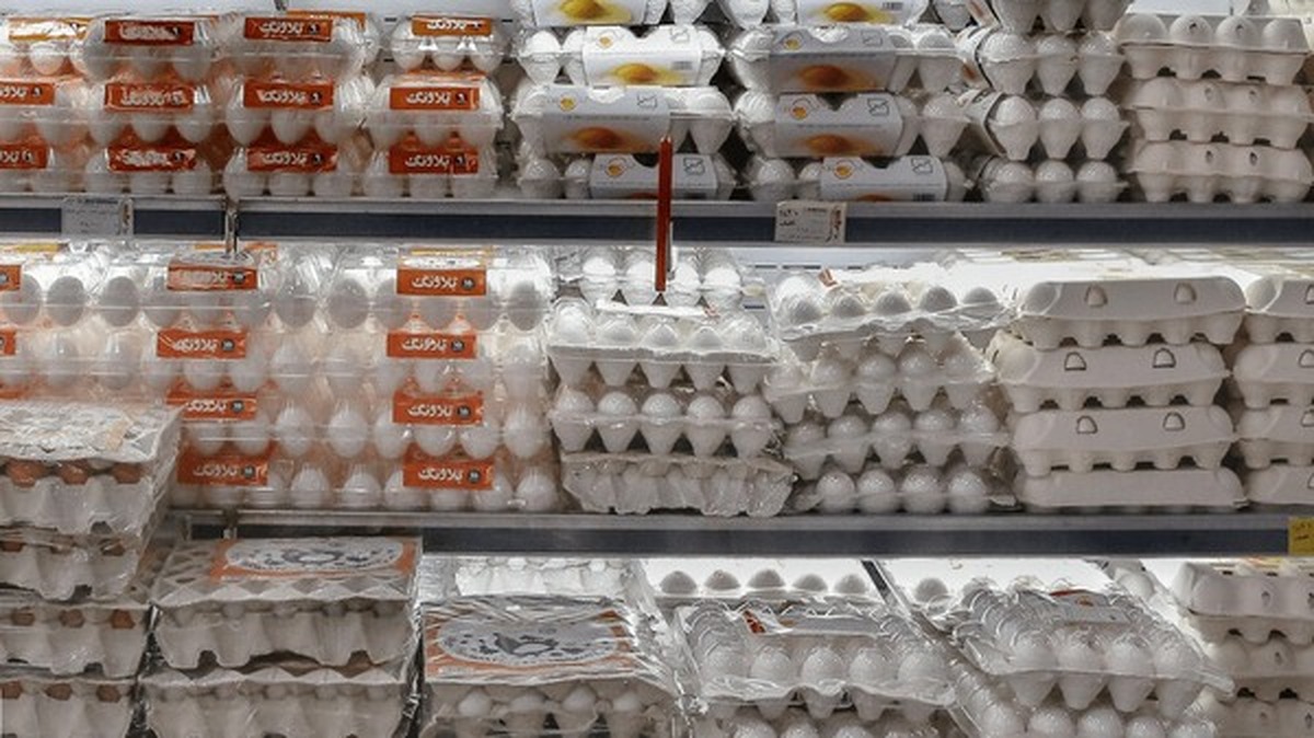 وزیر کشاورزی: تخم‌مرغ گران نیست