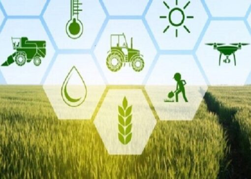 پرداخت ۱۵ هزار میلیارد ریال غرامت به کشاورزان خسارت‌دیده