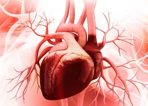 درمان آسیب‌های کوچک قلبی بدون جراحی ممکن شد!