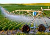 بحران آب زیر پوست مدیریت؛ چرا همیشه کشاورزی مقصر معرفی می شود؟