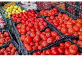 گوجه فرنگی گران شد