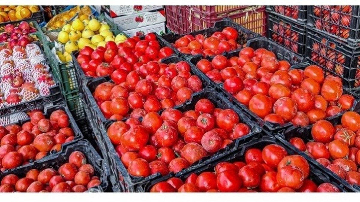 گوجه فرنگی گران شد