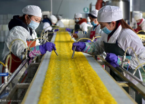 ادراک اندیشه چینی در مفهوم خودکفایی غلات