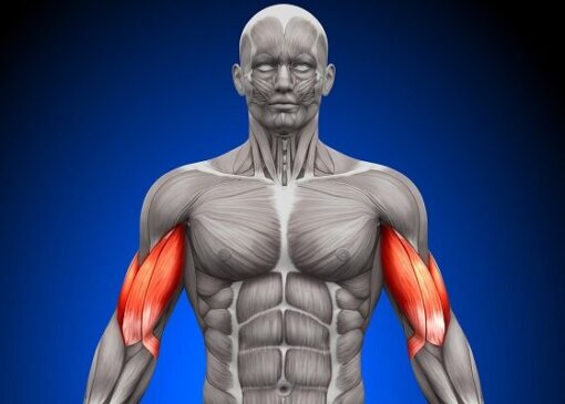 نامه مولکول‌های بدن به یکدیگر فاش شد