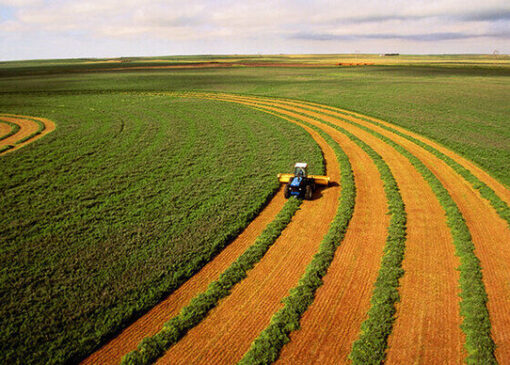 رؤیای امارات از کشت فراسرزمینی تا قطب جهانی در تجارت