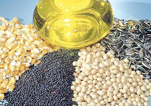 ثبت سفارش دانه‌های روغنی آغاز شد