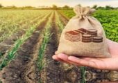ضرورت افزایش اعتبارات صندوق بیمه کشاورزی و تأمین امنیت غذایی