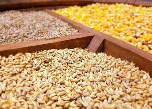 عرضه نهاده دامی منجر به فروکش عطش بازار شد