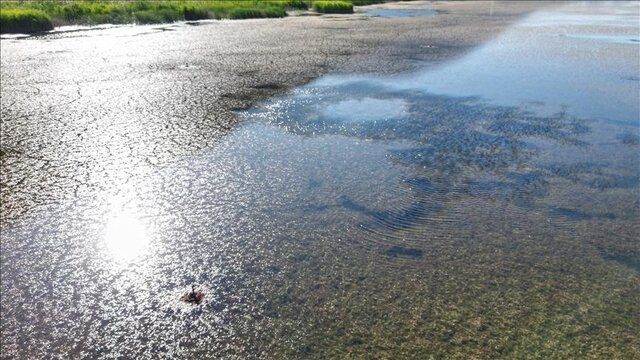 بحران آب با تصمیمات شجاعانه حل می‌شود، نه نقره‌داغ کردن کشاورز