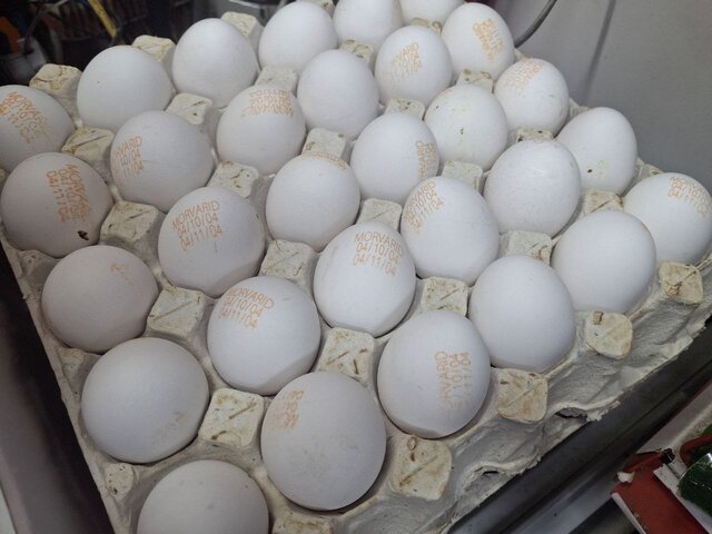 تخم‌مرغ ۳۰۰ هزار تومانی