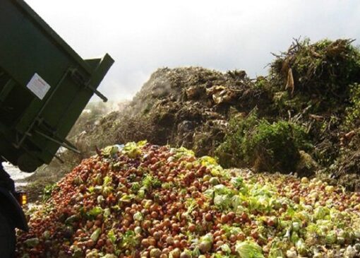 کاهش فقط ۱۰ درصد ضایعات کشاورزی، دستاورد بزرگی برای اقتصاد است