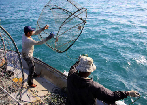 شناورهای صیادی باید به سامانه ردیابی مجهز شوند