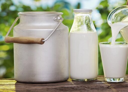 دولت باید برای شیرهای تولیدی فکر عاجل کند