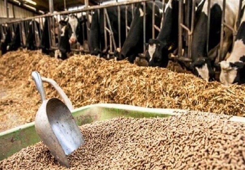 اعلام نرخ ارشادی نهاده های دامی بالاتر از بازار