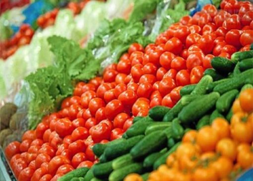 هر کیلو گرم خیار ۶۵ تا ۹۵ هزار تومان