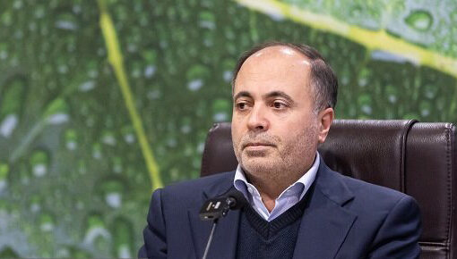 نوری: امنیت غذایی کشور با استمرار تولید محصولات کشاورزی تضمین می‌شود