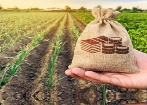 چالش عمده بیمه کشاورزی عدم تناسب منابع با میزان خسارات این حوزه است