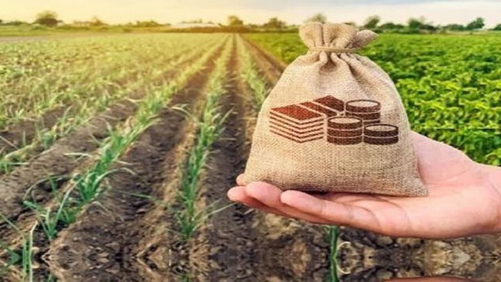 چالش عمده بیمه کشاورزی عدم تناسب منابع با میزان خسارات این حوزه است