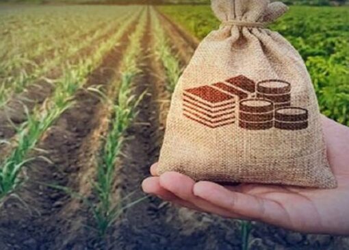 حداقل سهم بخش کشاورزی از وامهای بانکی تعیین شد