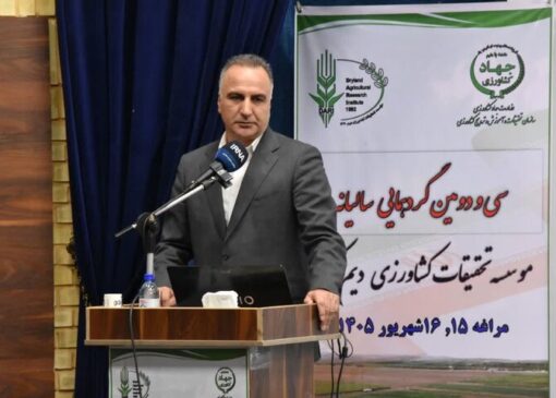 ثبت رکورد تاریخی تولید گندم در کشور با تولید ۱۴.۱ میلیون تن