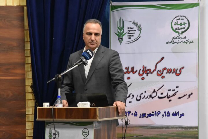 ثبت رکورد تاریخی تولید گندم در کشور با تولید ۱۴.۱ میلیون تن